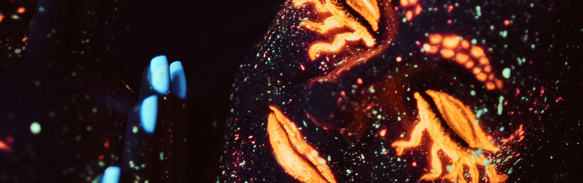 blog-silentinflammation